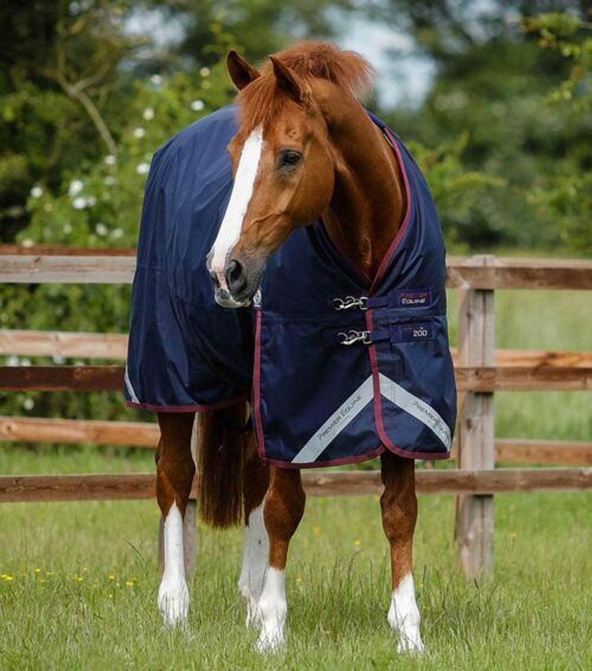 Premier Equine Titan 200 Original Turnout dækken - Navy - 5,3" (120cm)