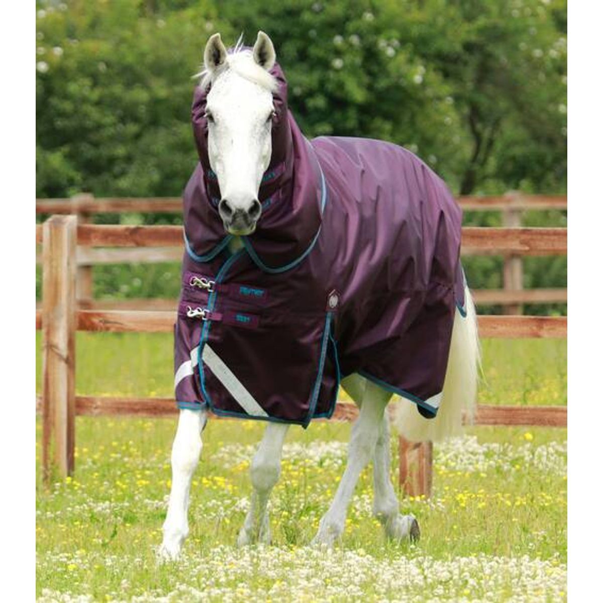 Premier Equine Titan 200g Turnout dækken med Snug-fit hals - Lilla - 5,0" (115cm)