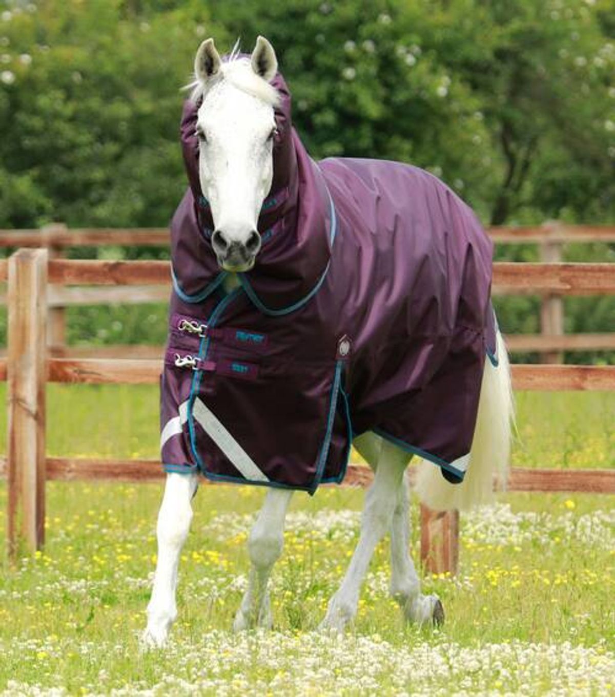 Premier Equine Titan 200g Turnout dækken med Snug-fit hals - Lilla - 5,3" (120cm)