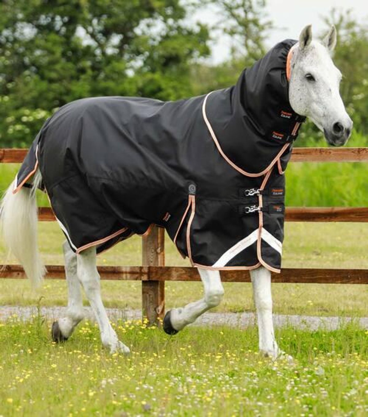 Premier Equine Titan 300g dækken - 5,0" - 115cm, Sort