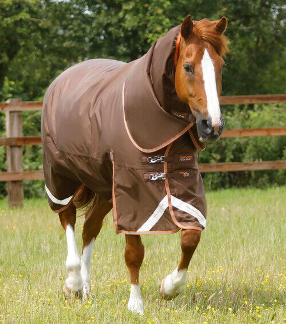 Premier Equine Titan 300g dækken - 6,0" - 135cm, Brun