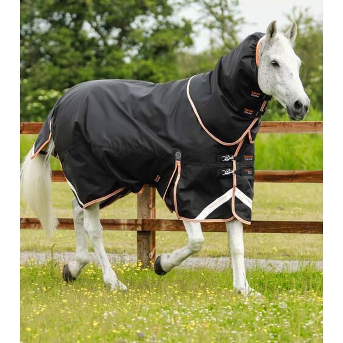 Premier Equine Titan 300g dækken - 6,6" - 145cm, Sort