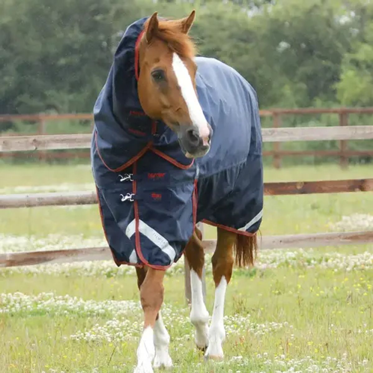 Premier Equine - Titan 450g vinterdækken med Snug-Fit hals - Navy