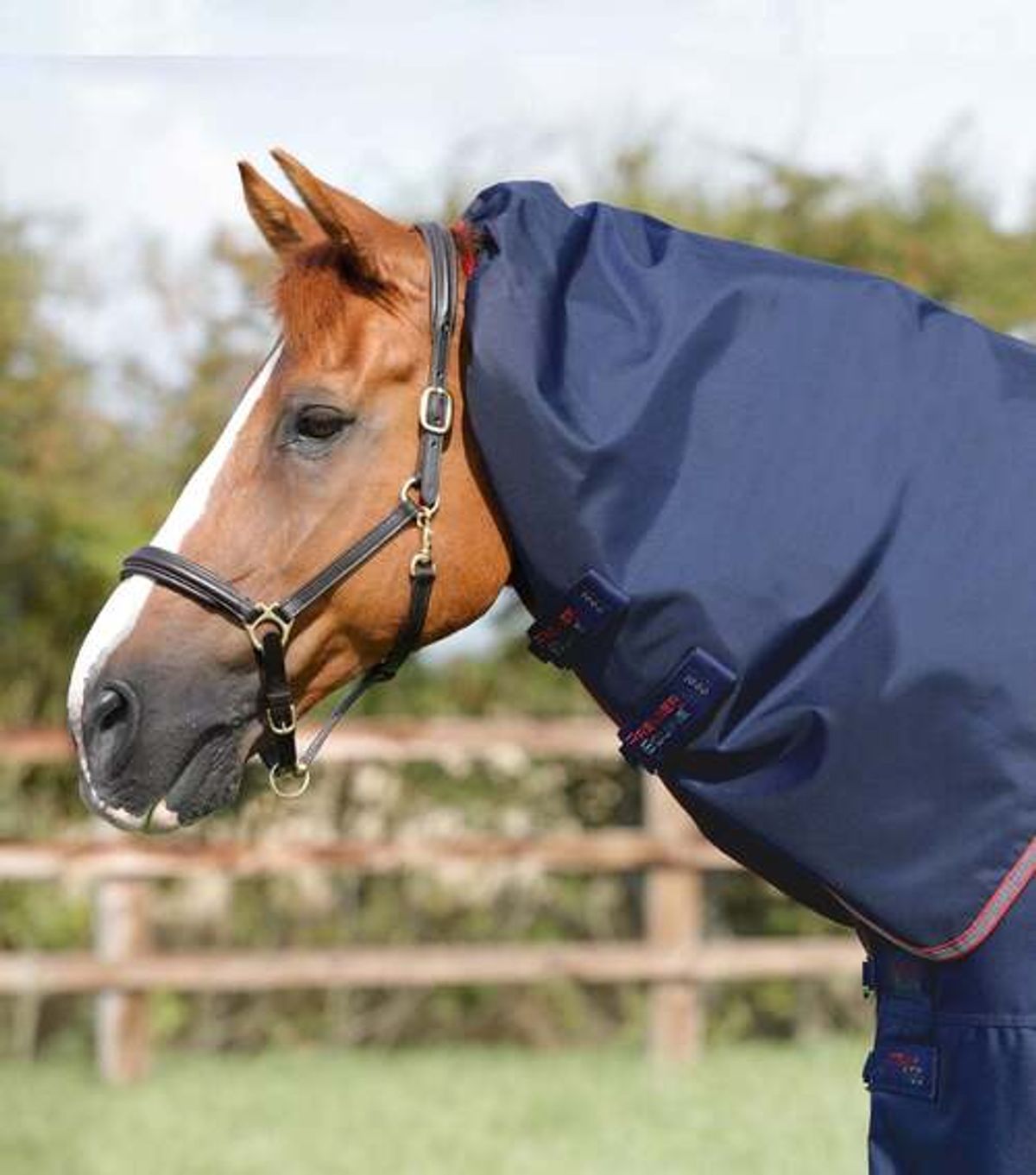 Premier Equine Titan dækkenhals - 100g - Navy, M