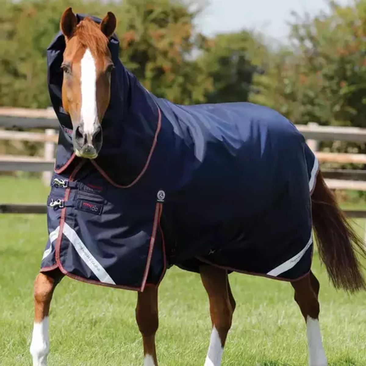 Premier Equine Titan Trio dækken - Navy - 5,0 115cm