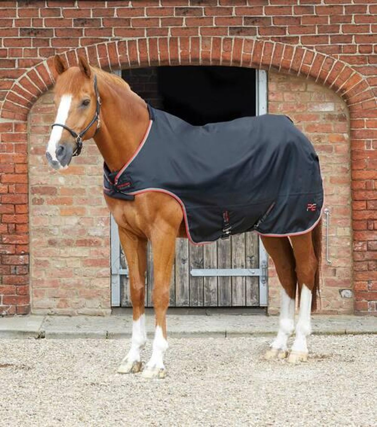 Premier Equine Walker dækken - 100g - 5,3" (120cm)