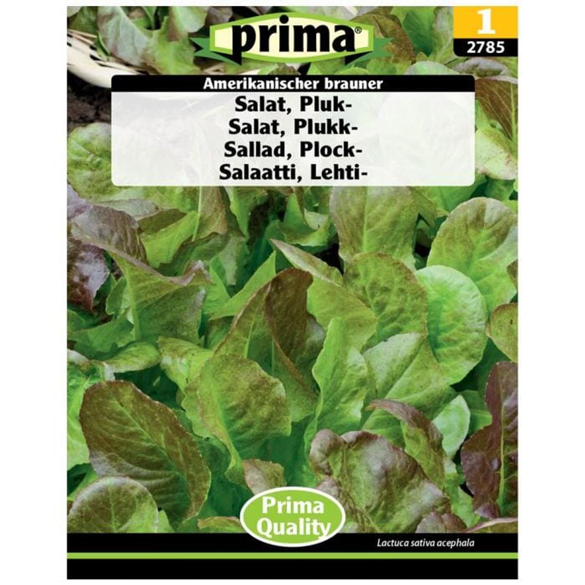 Prima - ® Frø - Salat, Pluk