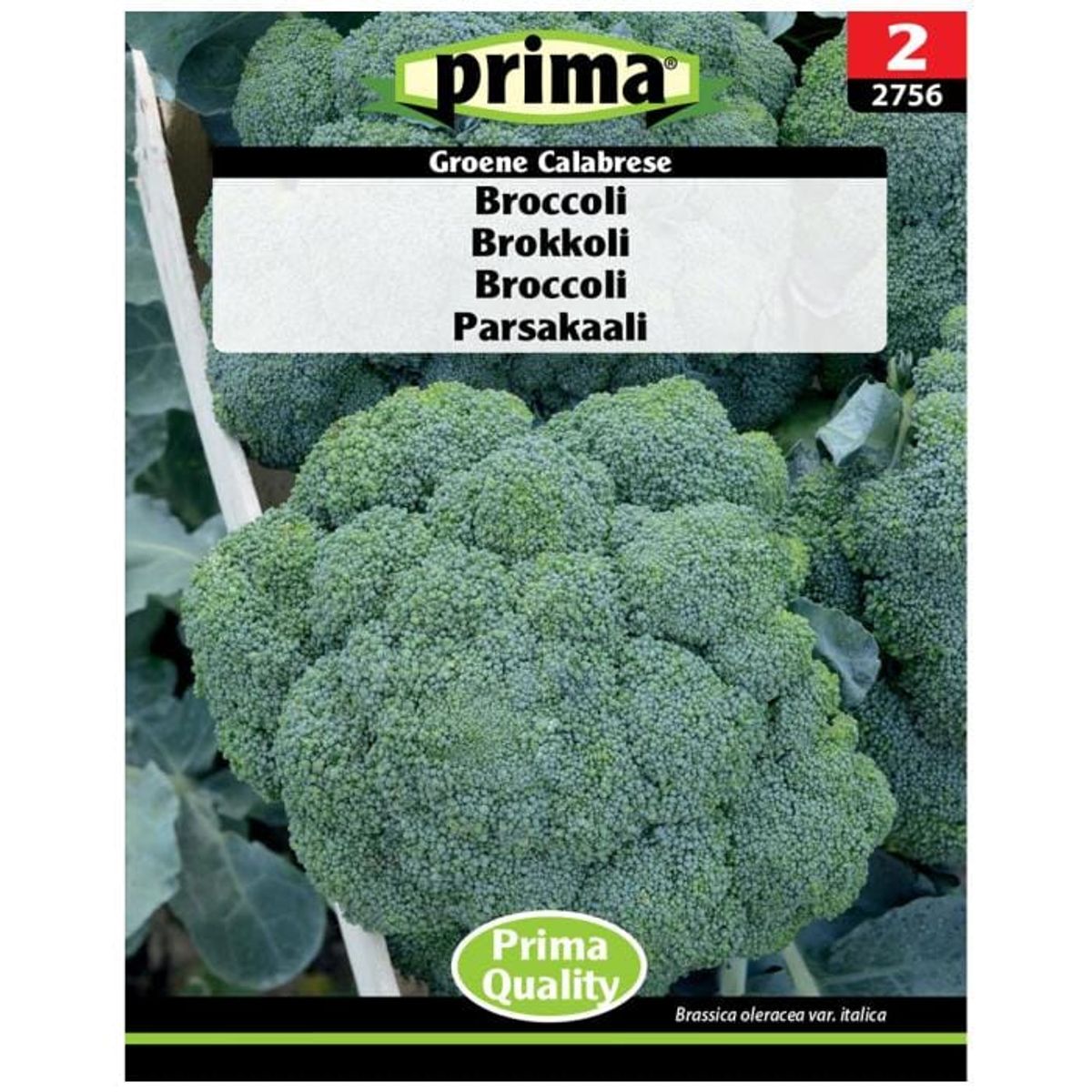 Prima - PRIMA® Frø - Broccoli