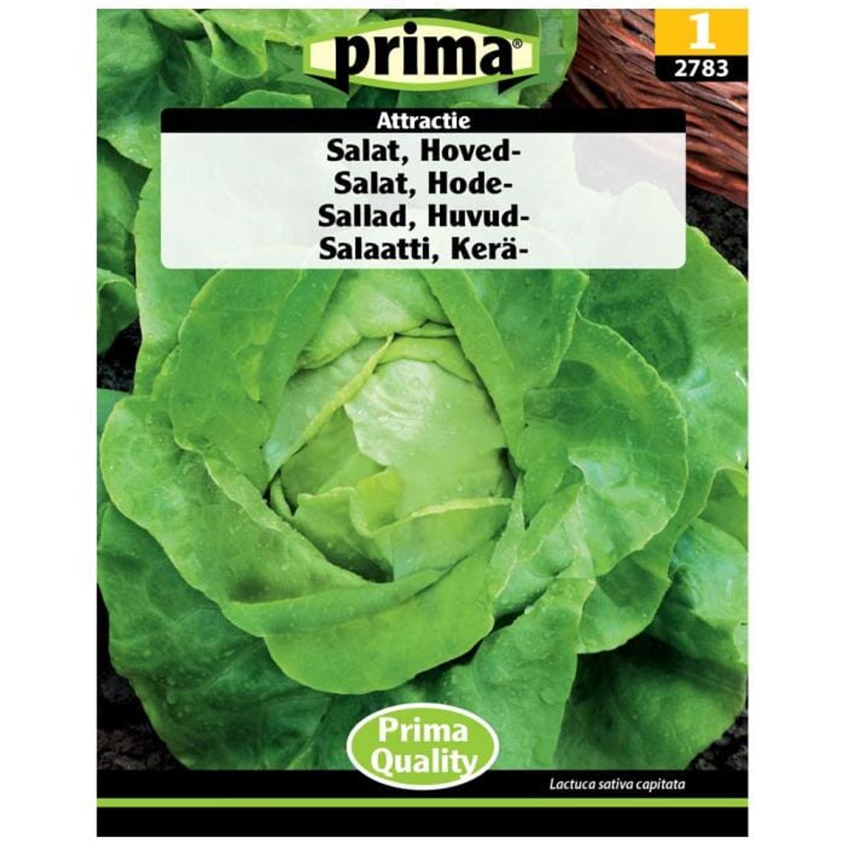 Prima - PRIMA® Frø - Salat, Hoved