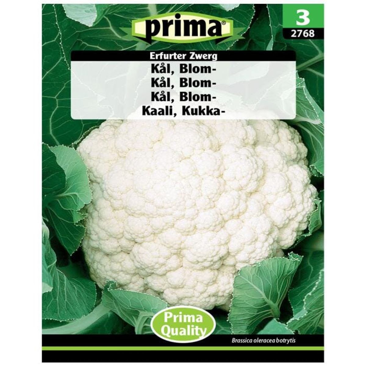 Prima - PRIMA® Kål, Blom-