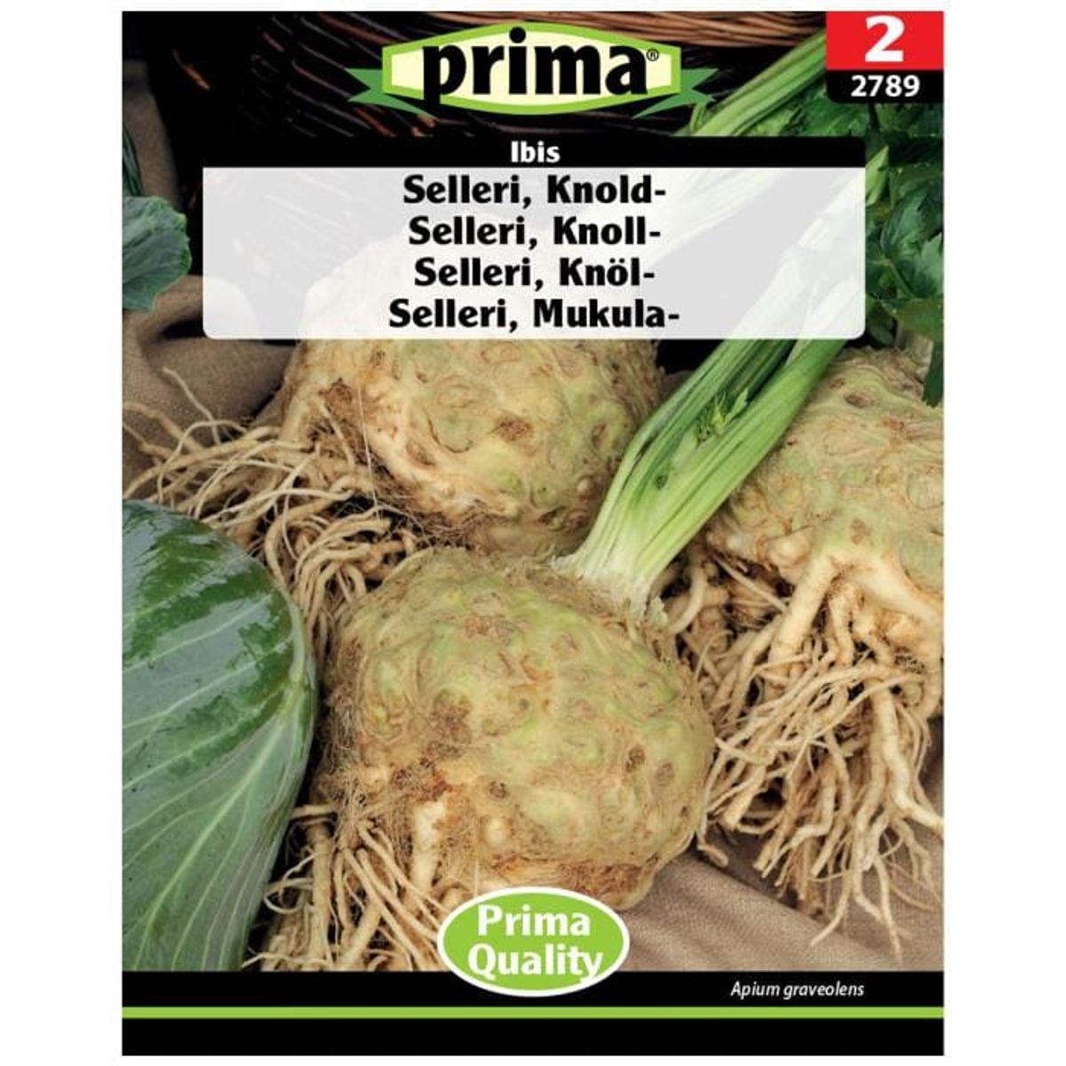 Prima - PRIMA® Selleri, Knold