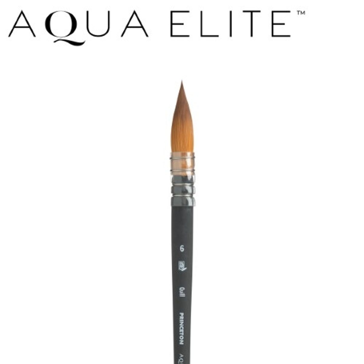 Princeton Aqua Elite Synthetic Short Handle Quill Size 6 PG4