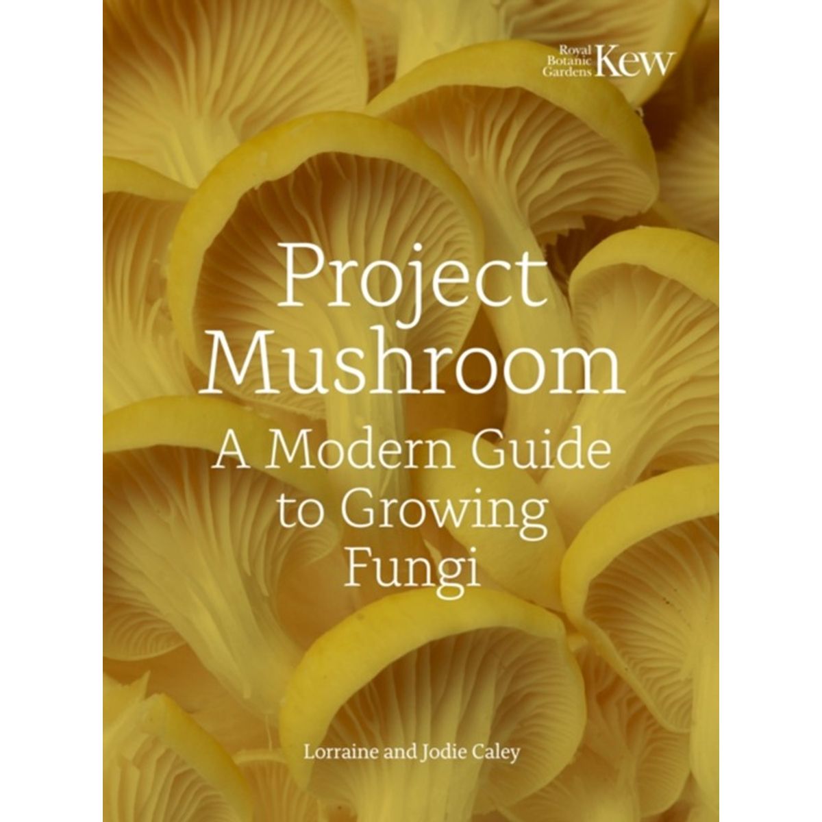 Project Mushroom