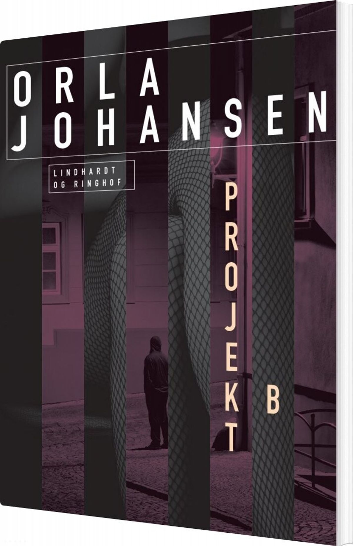 Projekt B - Orla Johansen - Bog