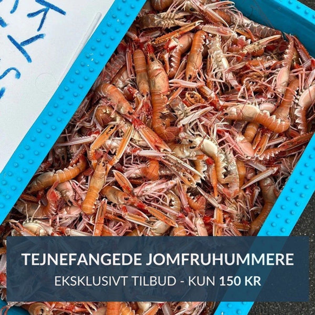 Prøv igen: Tejnefangede jomfruhummere - Eksklusivt tilbud