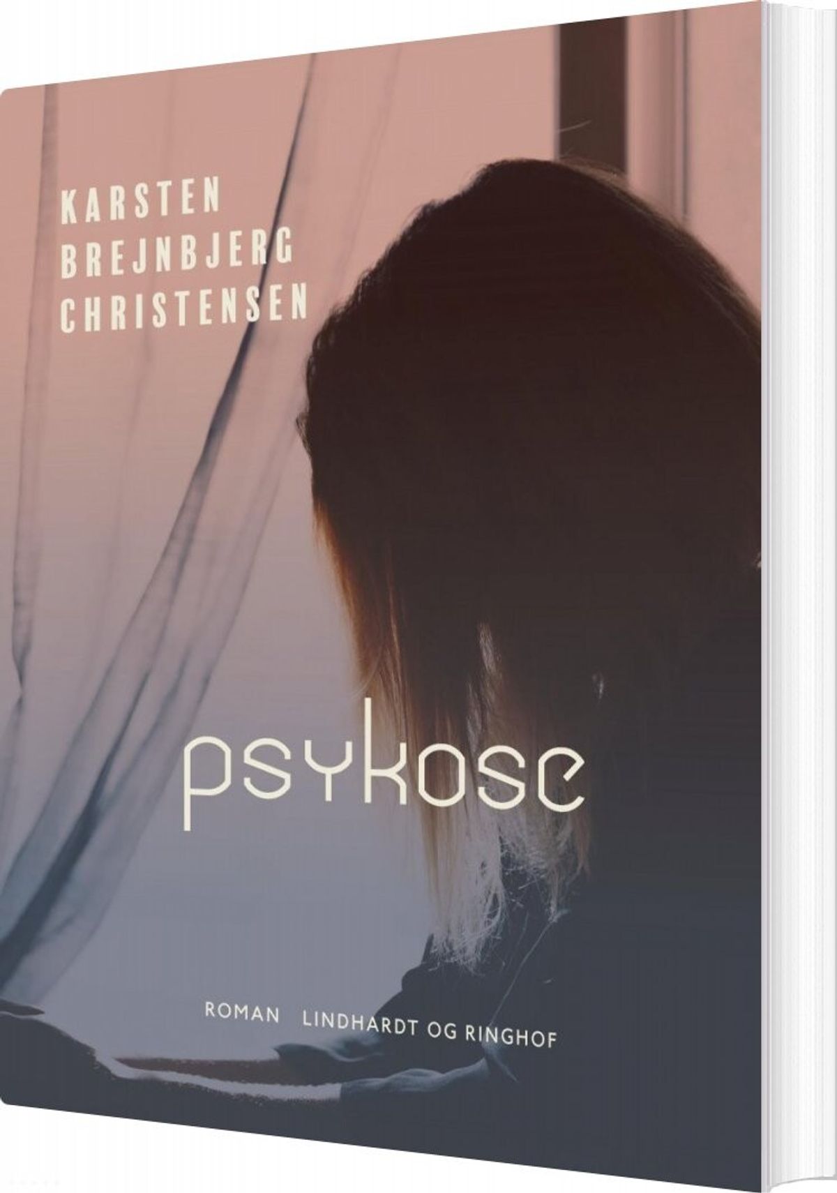 Psykose - Karsten Brejnbjerg Christensen - Bog