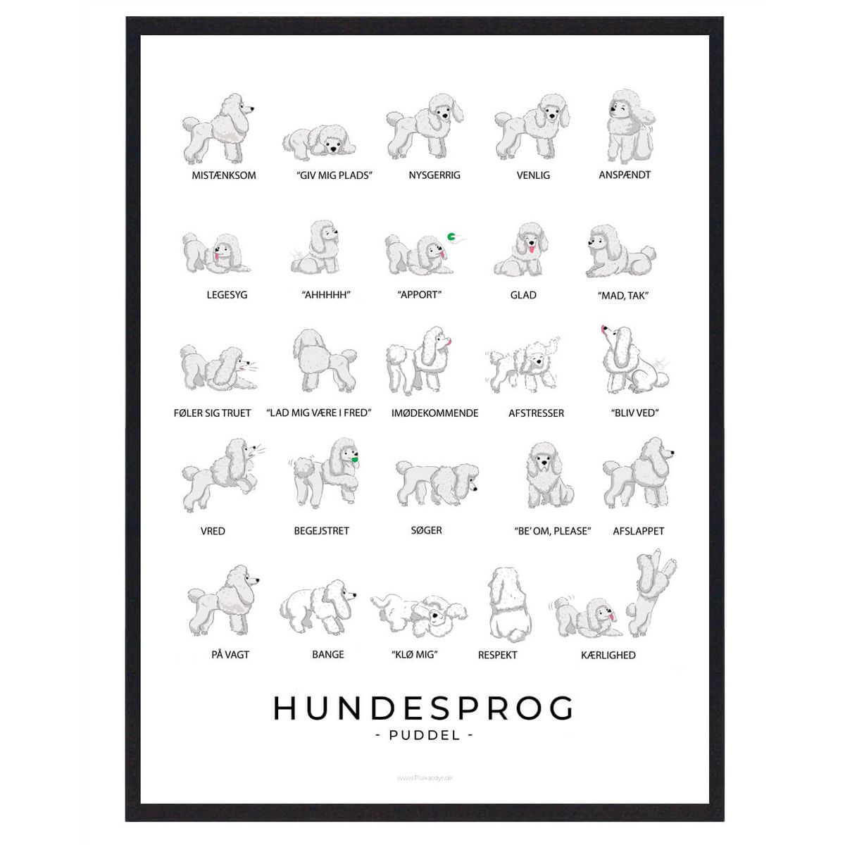 Puddel plakat - Hundesprog (Størrelse: L - 50x70cm (B2))