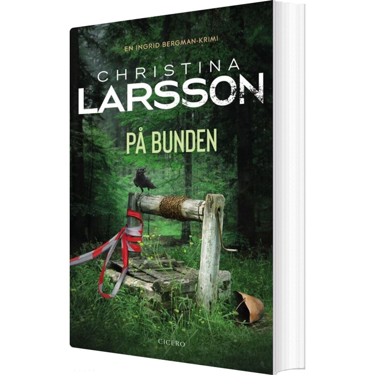 På Bunden - Christina Larsson - Bog