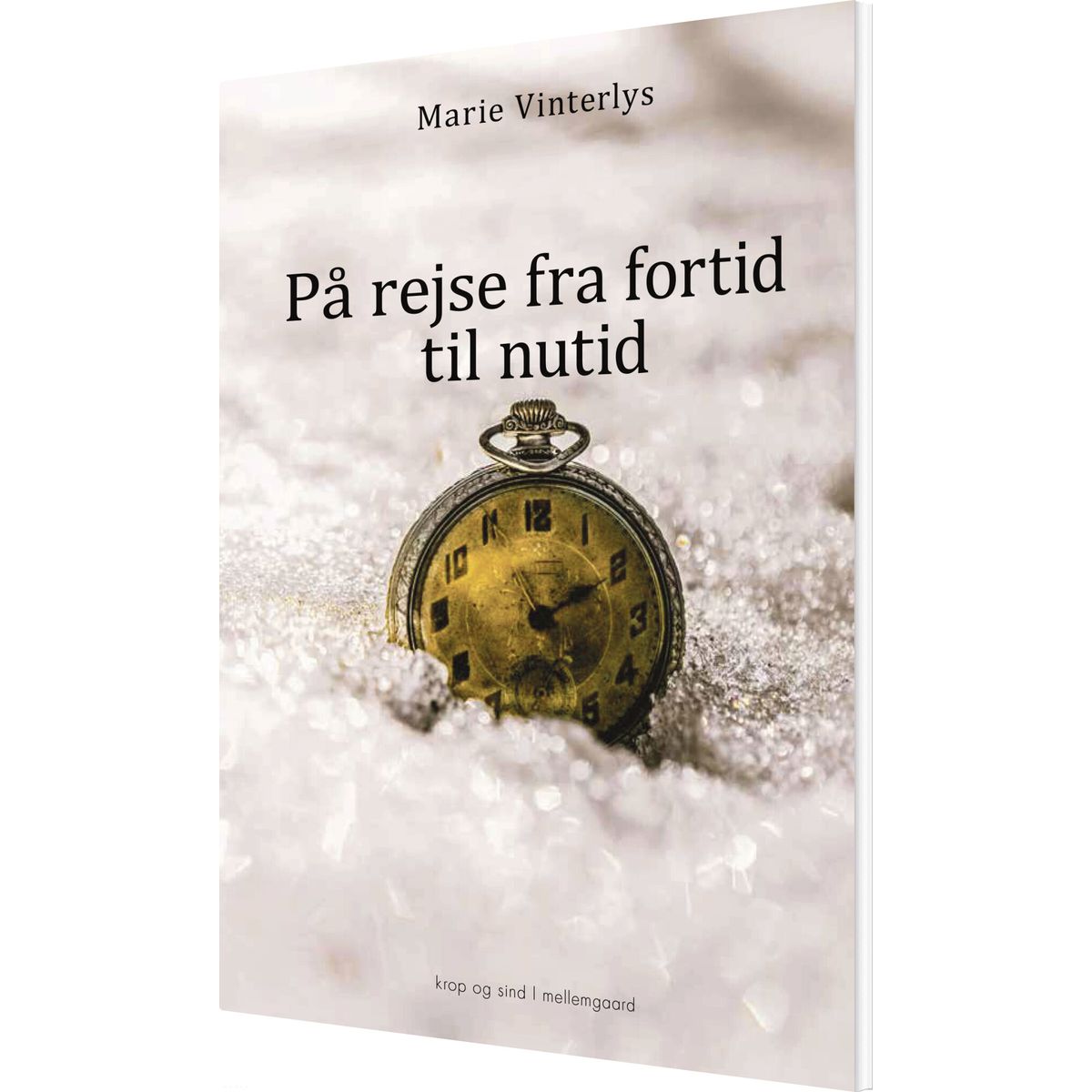 På Rejse Fra Fortid Til Nutid - Marie Vinterlys - Bog