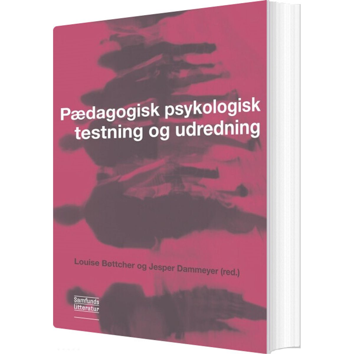 Pædagogisk Psykologisk Testning Og Udredning - Louise Bøttcher - Bog