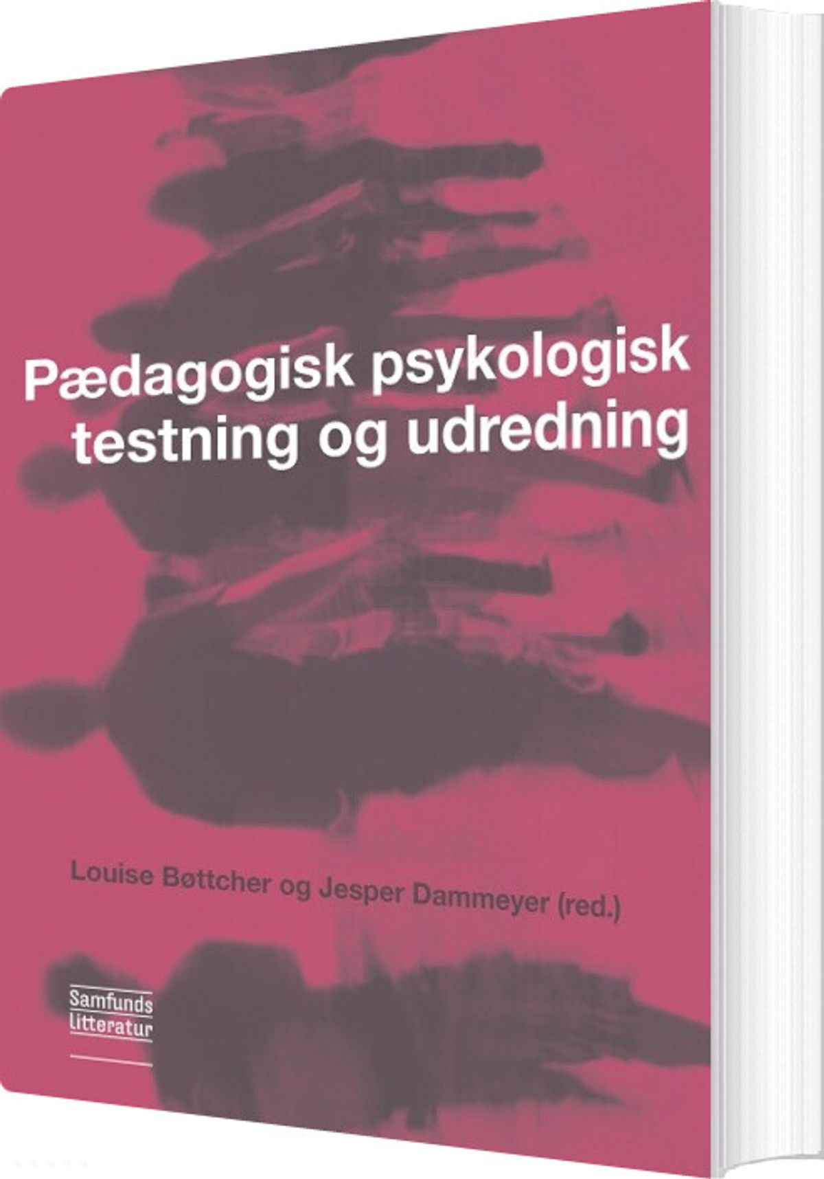 Pædagogisk Psykologisk Testning Og Udredning - Louise Bøttcher - Bog