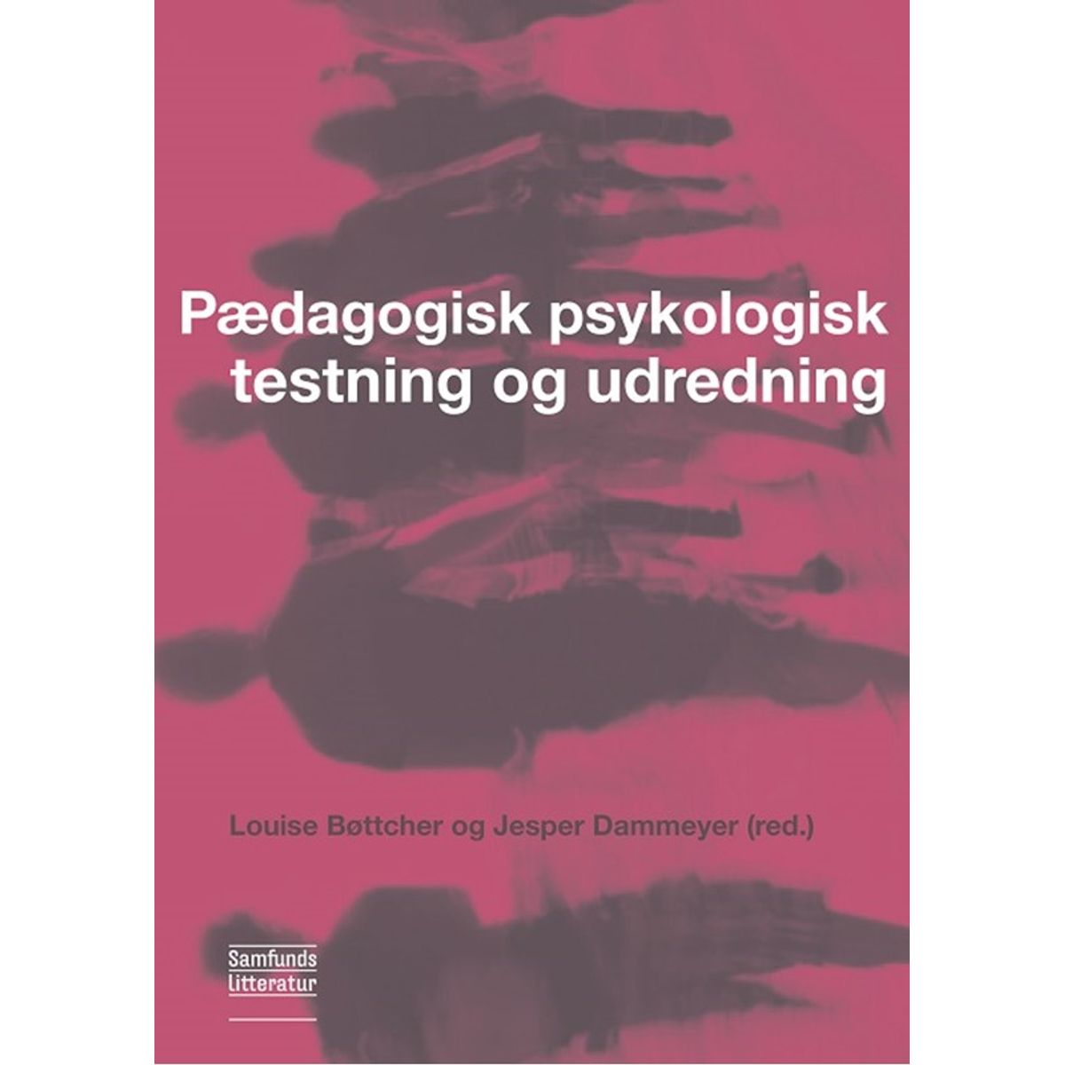 Pædagogisk psykologisk testning og udredning