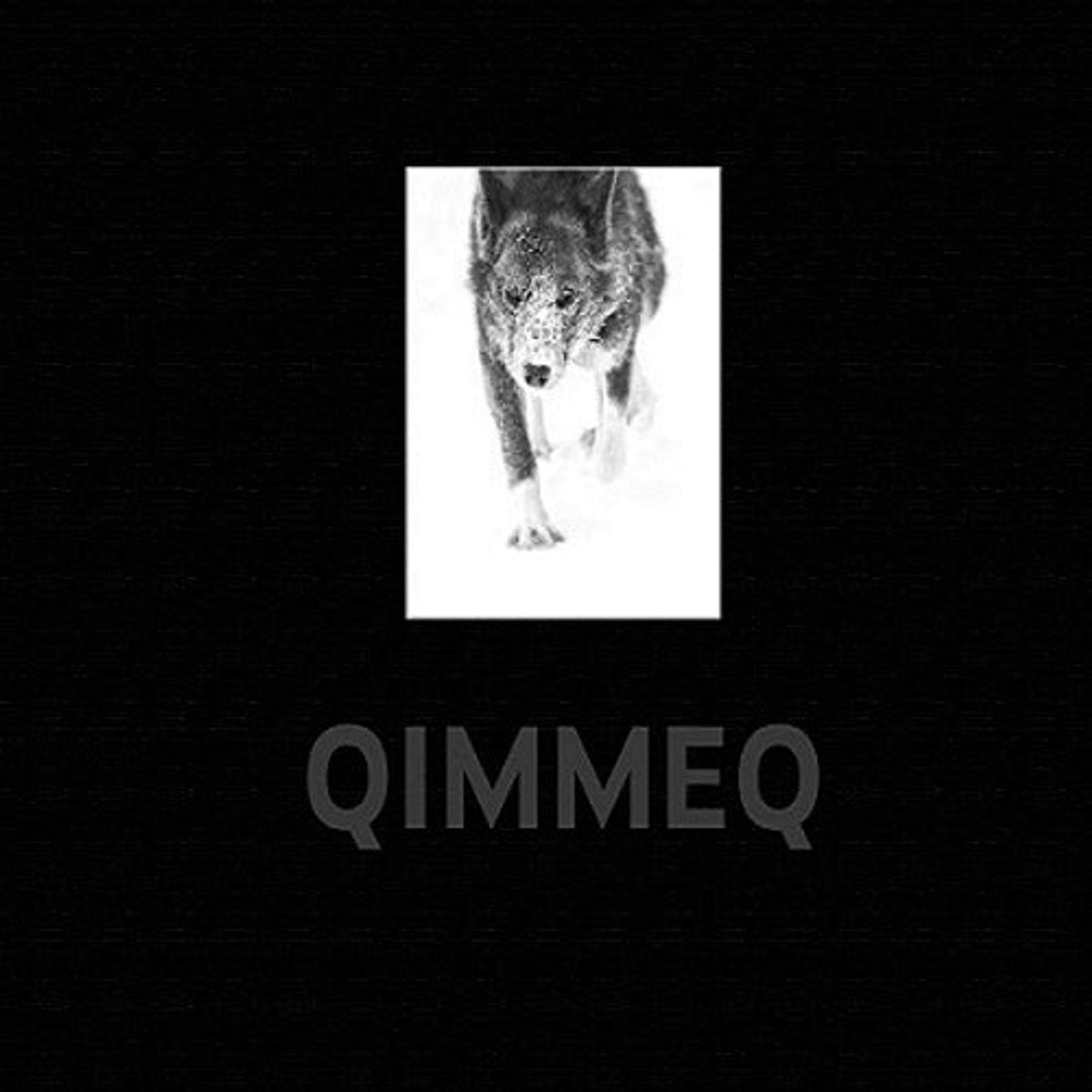 QIMMEQ The Greenland Sled Dog