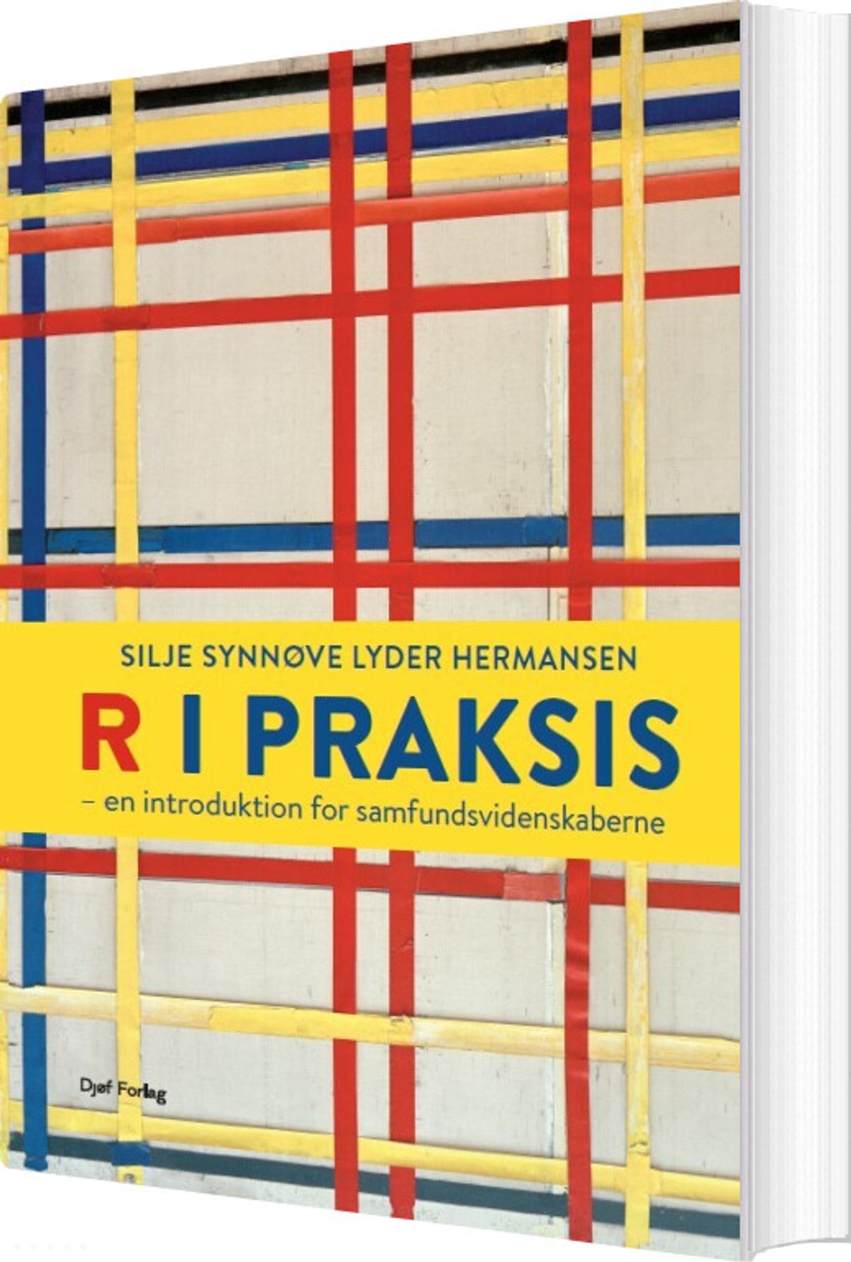 R I Praksis - Silje Synnøve Lyder Hermansen - Bog