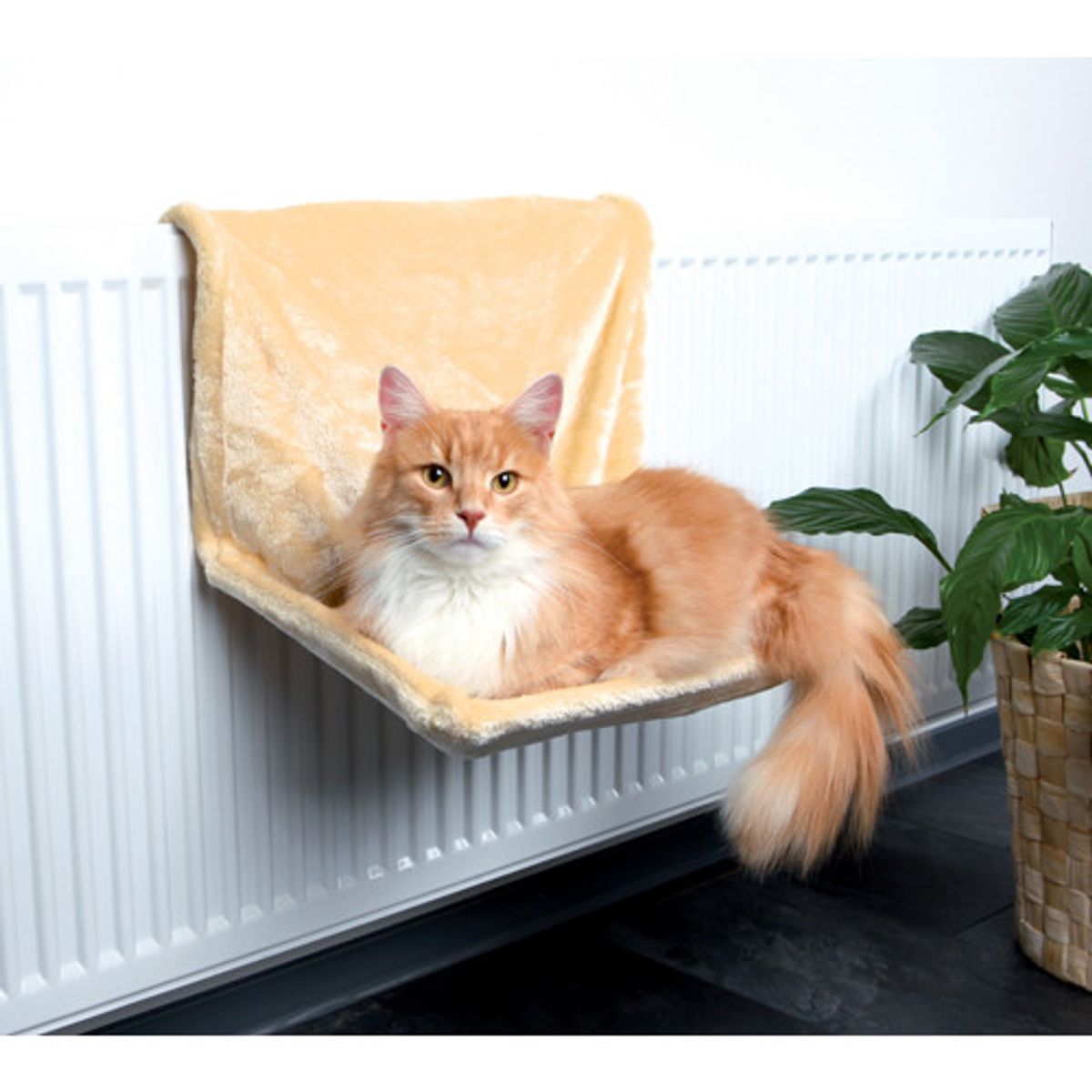 Radiatorseng "de Luxe" til kat.