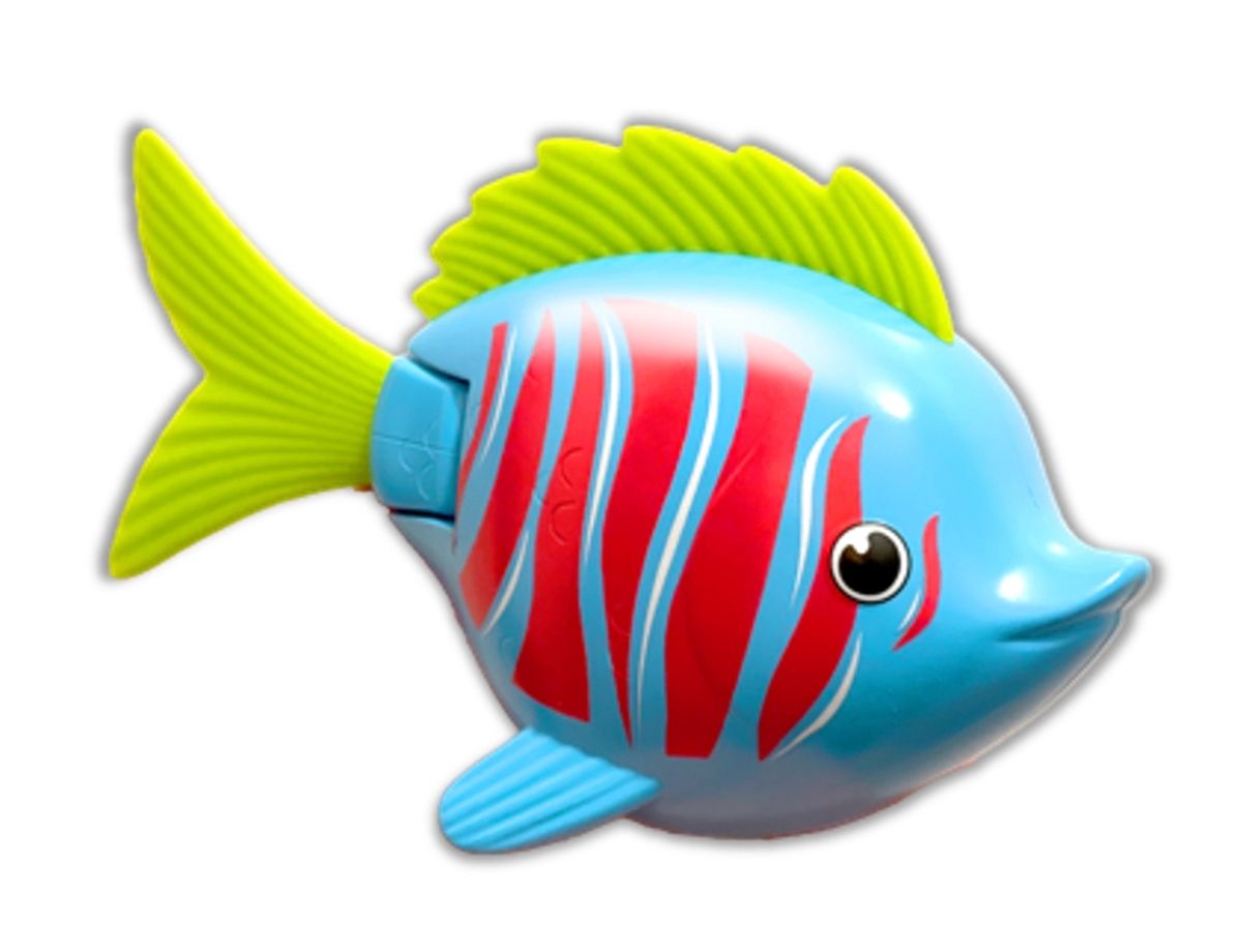 Rainbow Reef Fish - Betafisk