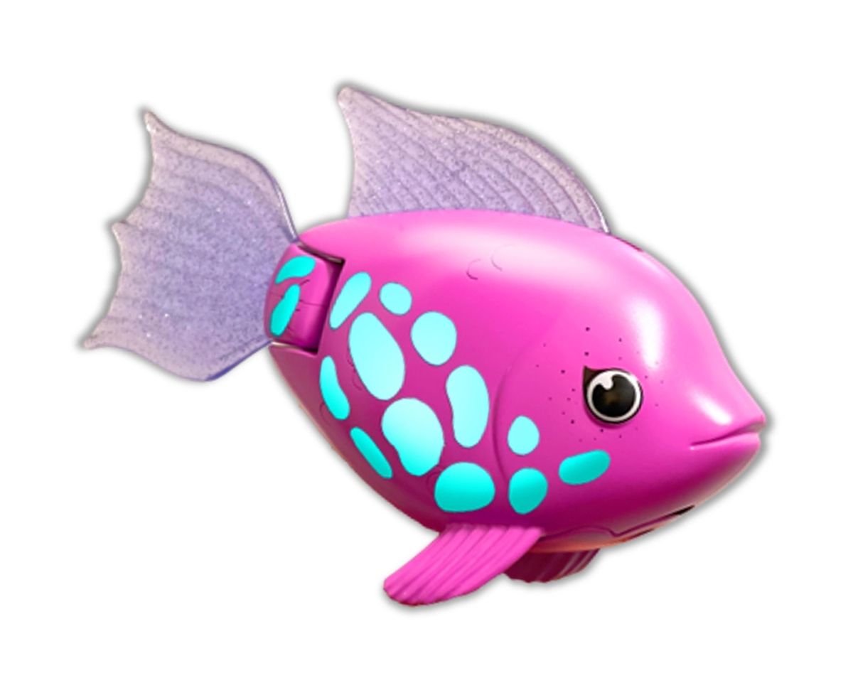 Rainbow Reef Fish - Regnbuefisk