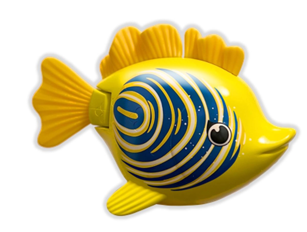 Rainbow Reef Fish - Zebrafisk