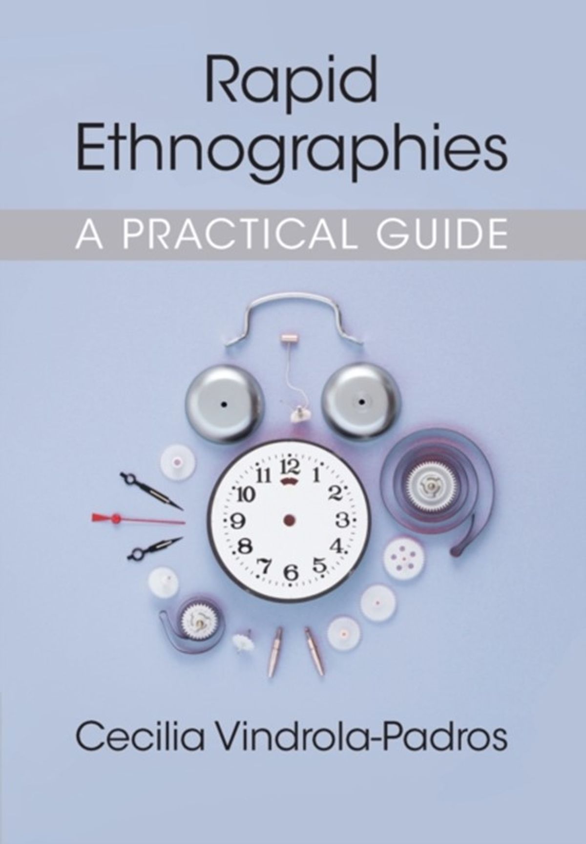 Rapid Ethnographies