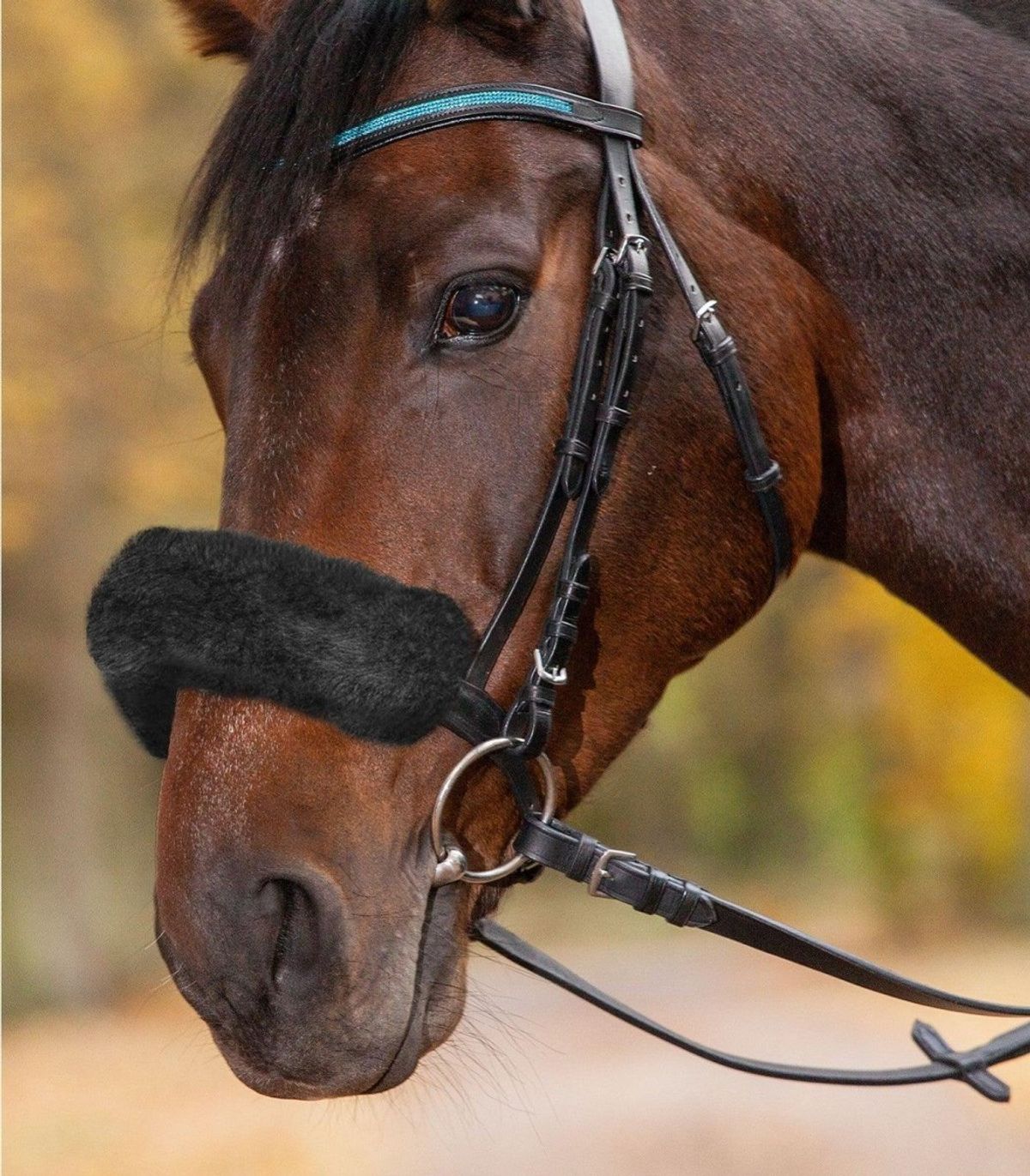 Real Lambskin-Noseband Sleeve, 27 cm, black