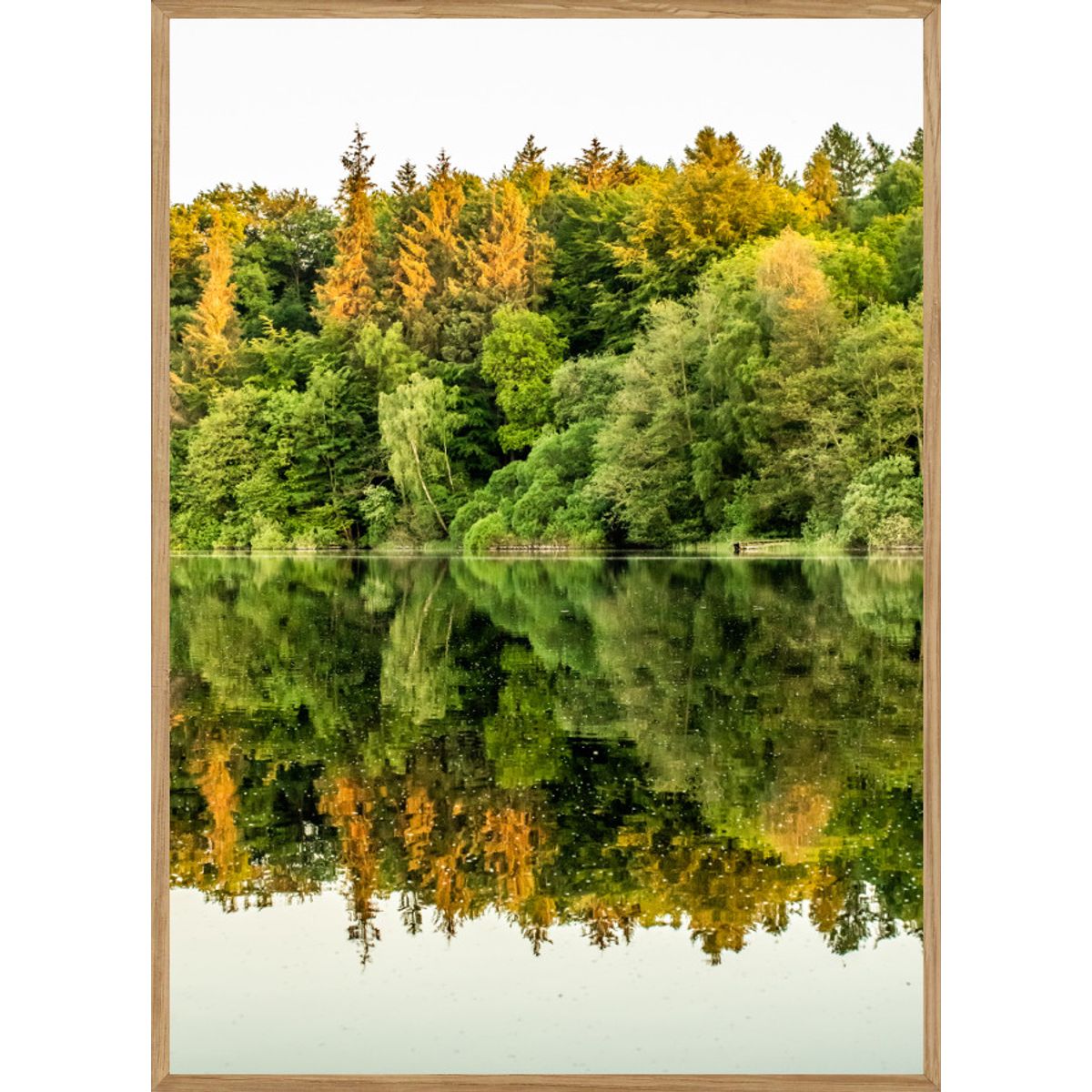 REFLEKTION - NATURPLAKAT A5 (14,8 x 21cm) - BOLIGEN > NATURPLAKATER - Living Nature