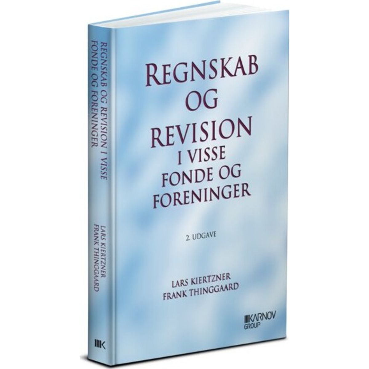 Regnskab Og Revision I Visse Fonde Og Foreninger - Frank Thinggaard - Bog