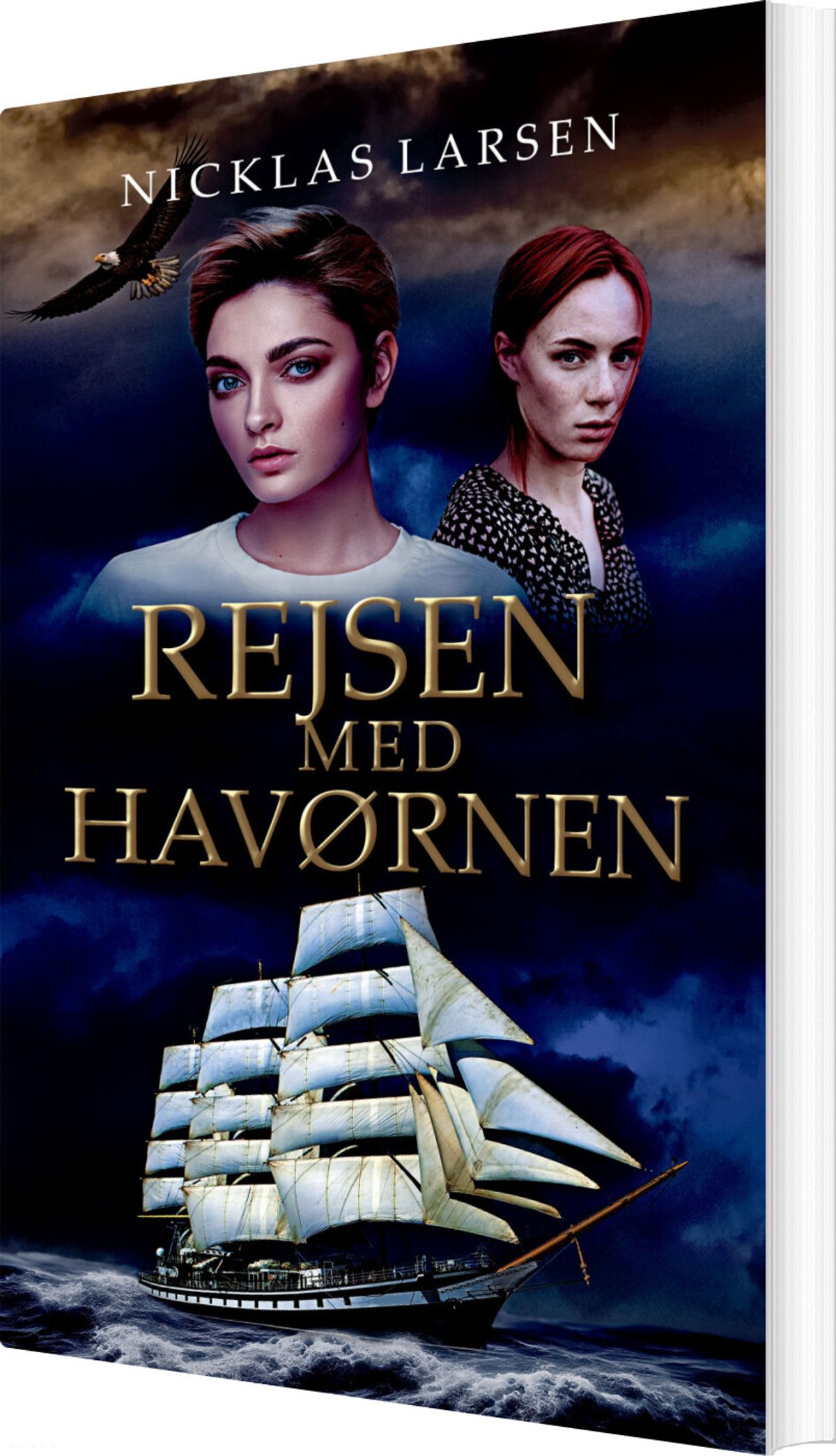 Rejsen Med Havørnen - Nicklas Larsen - Bog