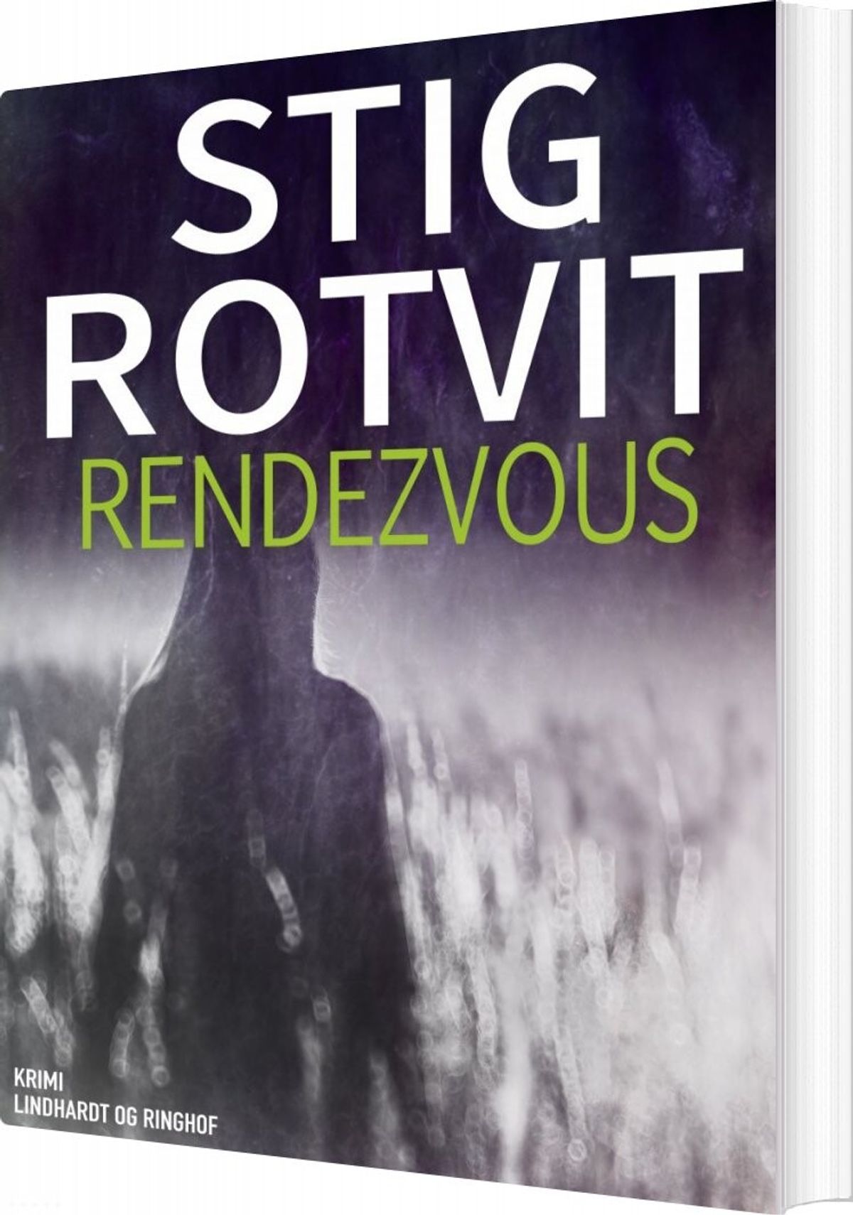 Rendezvous - Stig Rotvit - Bog