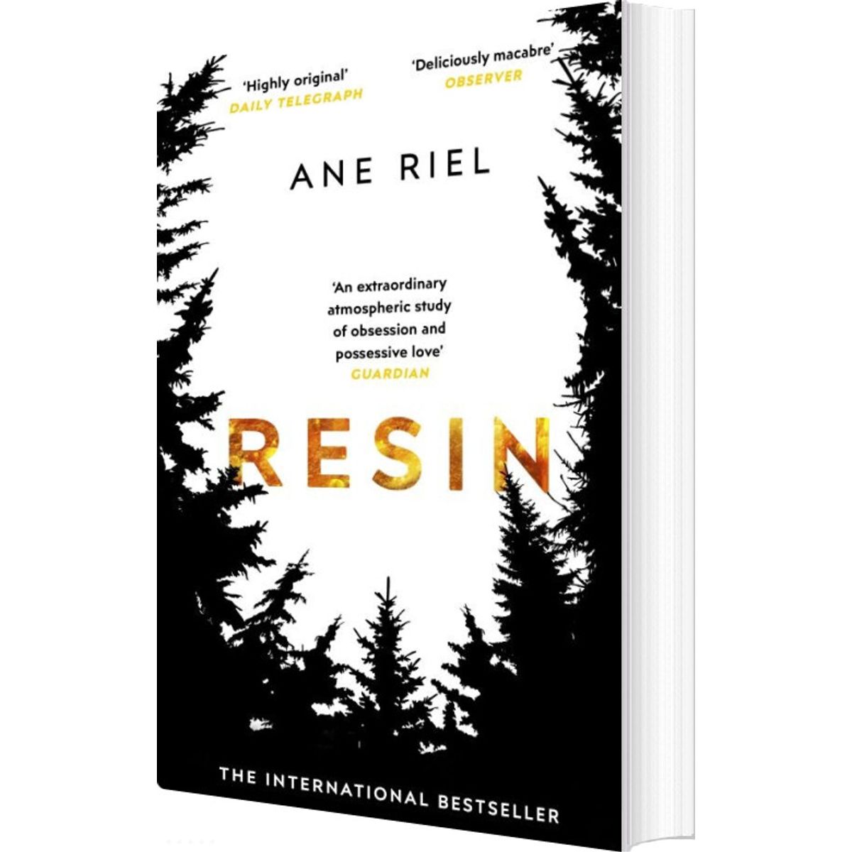 Resin - Ane Riel - English Book