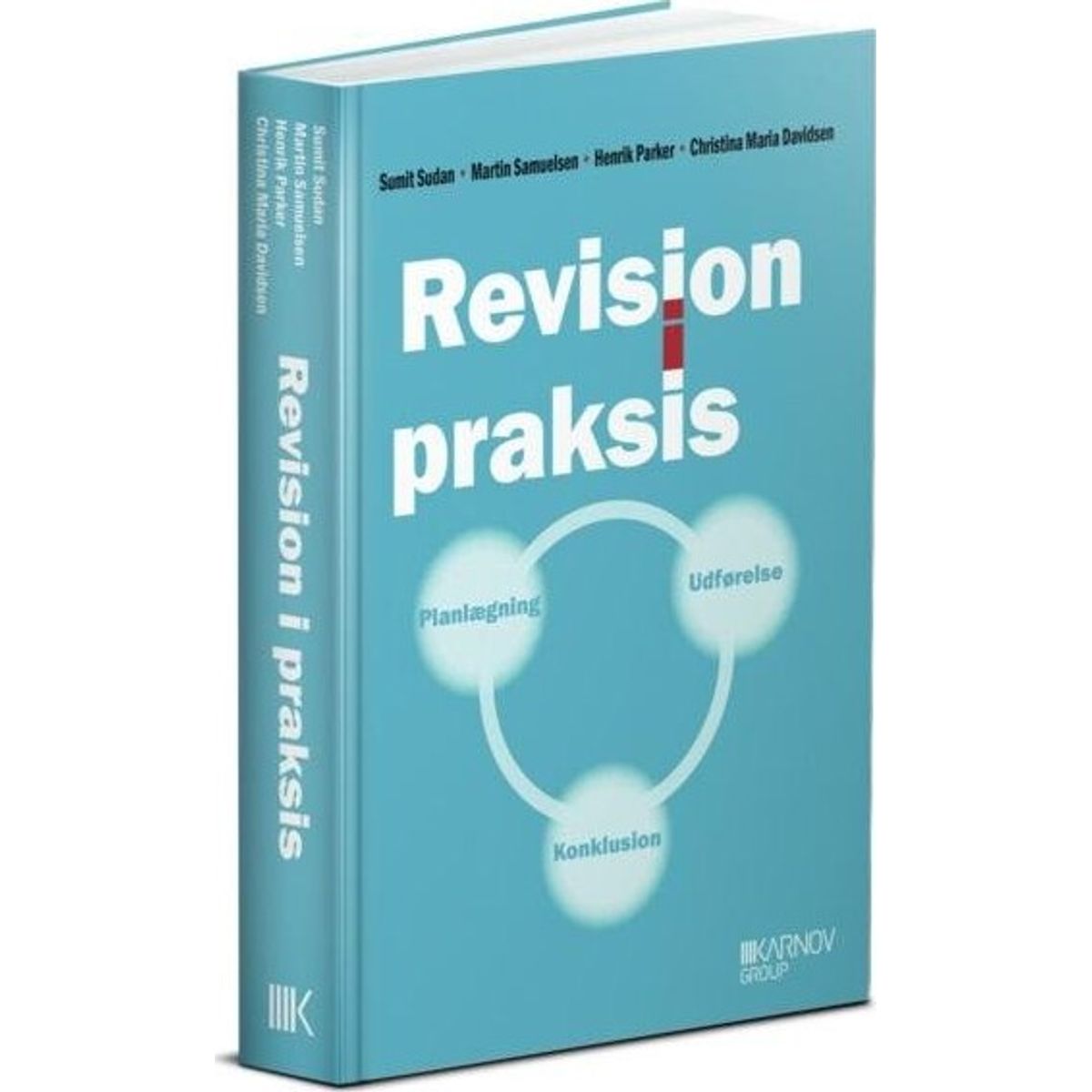 Revision I Praksis - Planlægning, Udførelse, Konklusion - Christina Maria Davidsen - Bog