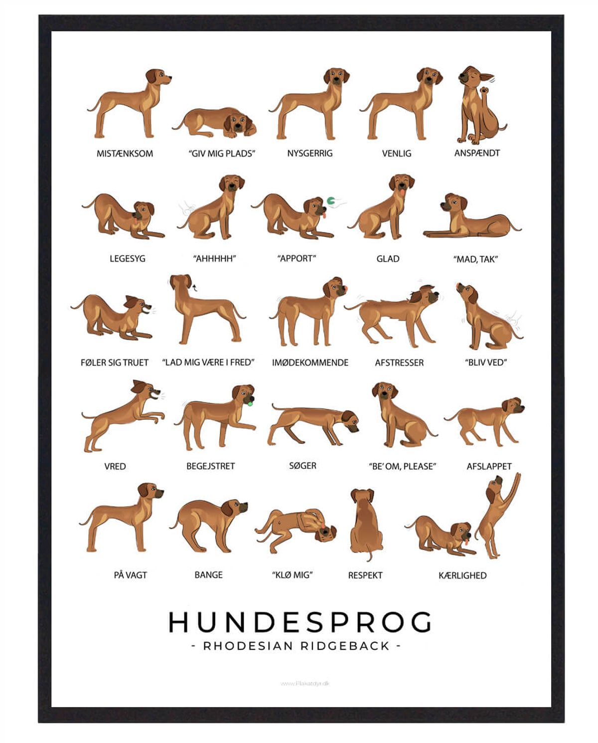 Rhodesian Ridgeback - Hundesprog plakat (Størrelse: L - 50x70cm (B2))