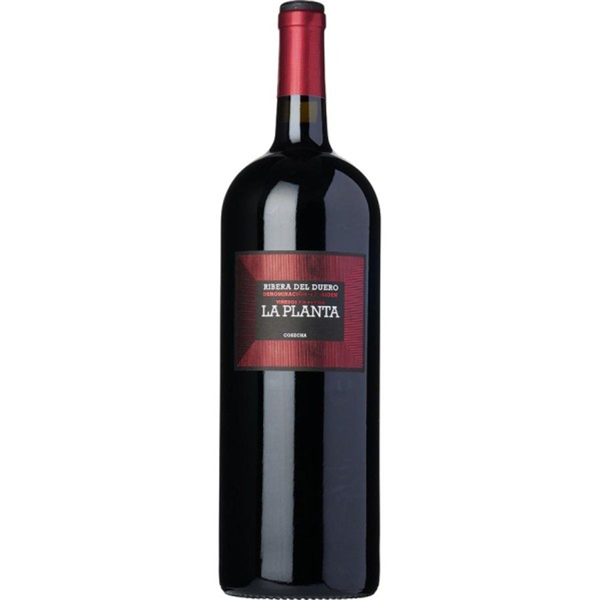 Ribera del Duero, La Planta, magnum 2021