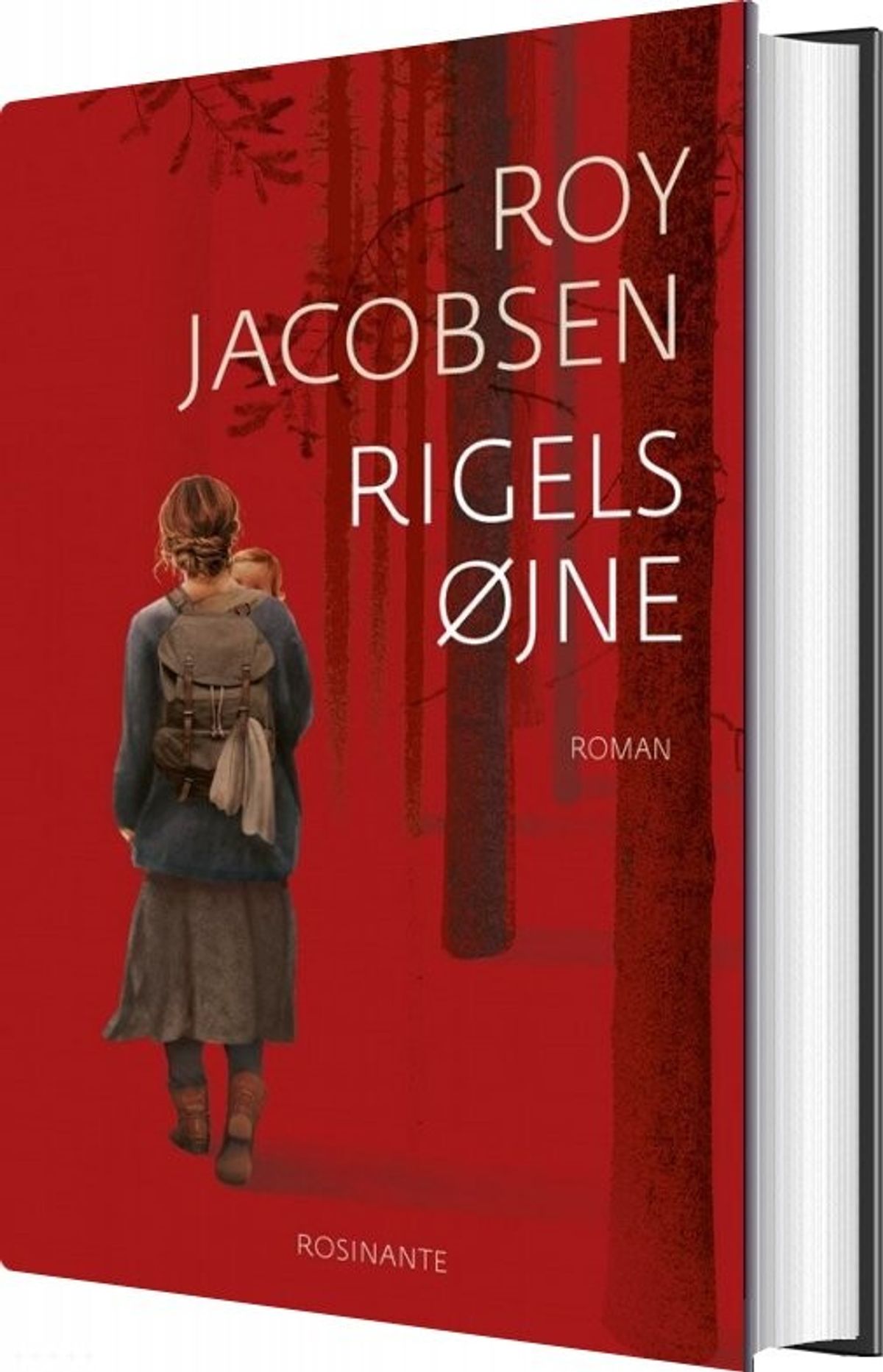 Rigels øjne - Roy Jacobsen - Bog