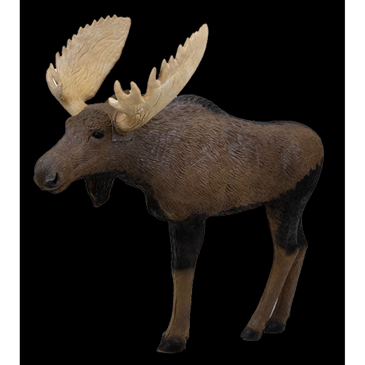 Rinehart 3D Woodland Moose 1/3 størrelse