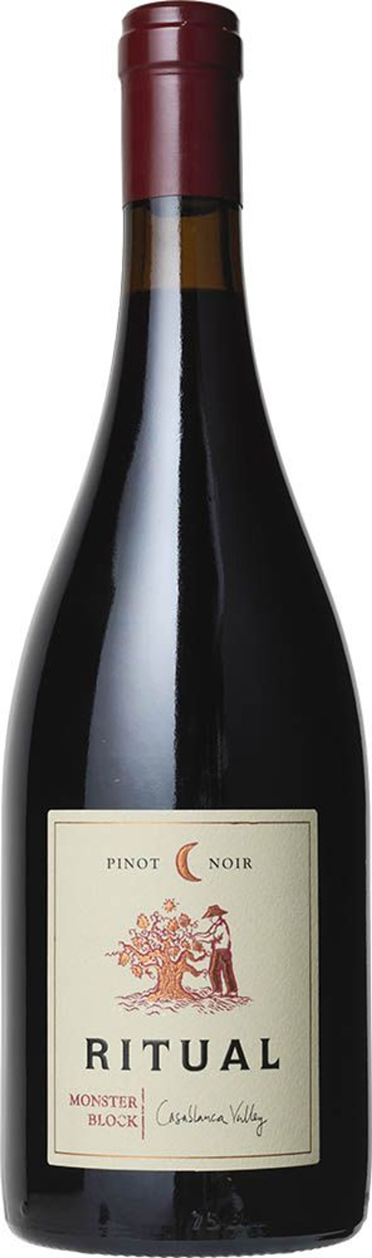 Ritual Pinot Noir 2020 Veramonte