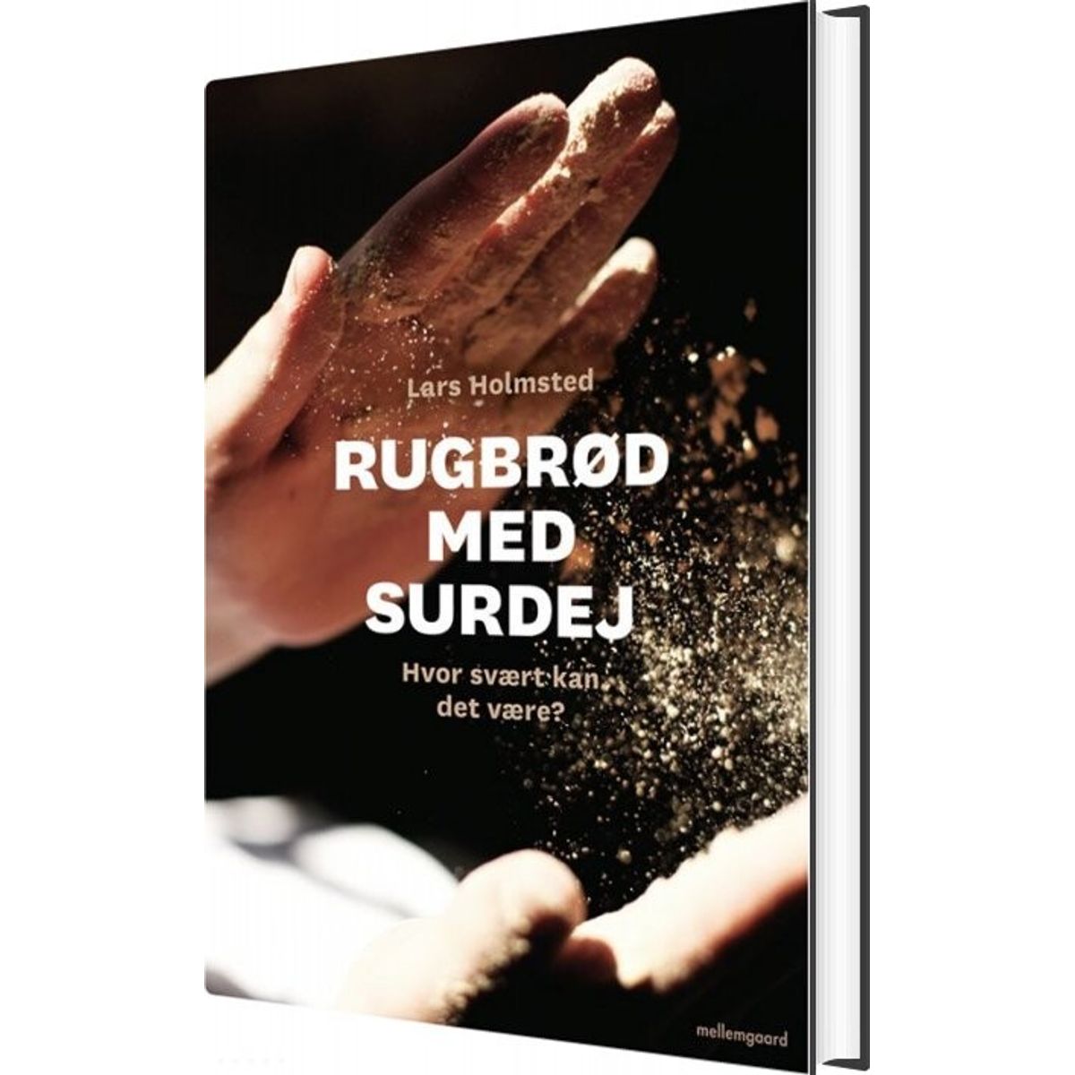 Rugbrød Med Surdej - Lars Holmsted - Bog