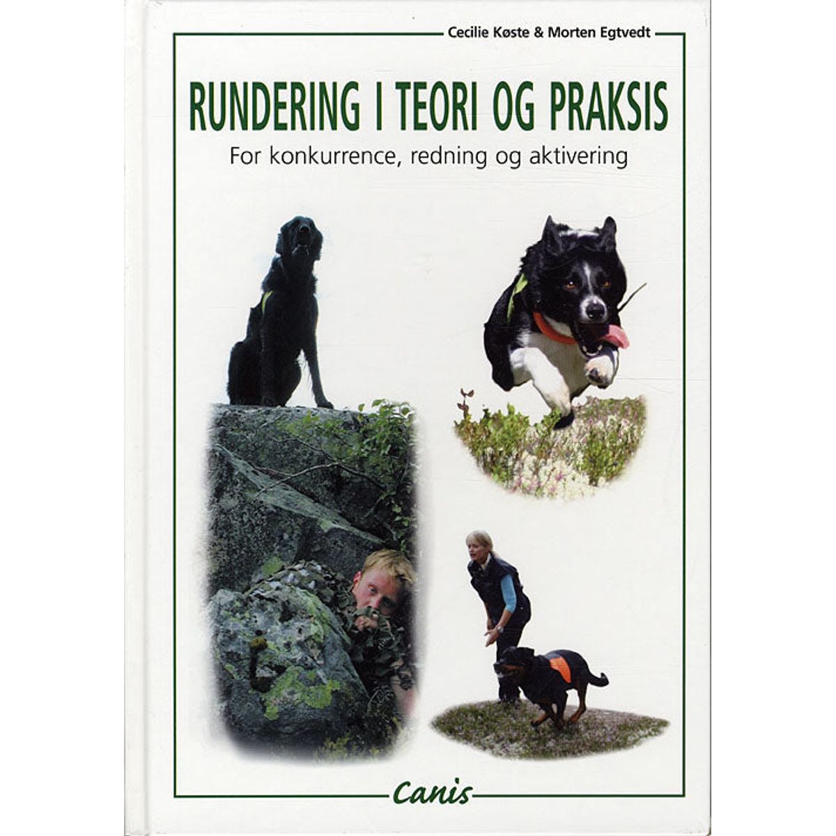 Rundering i teori og praksis