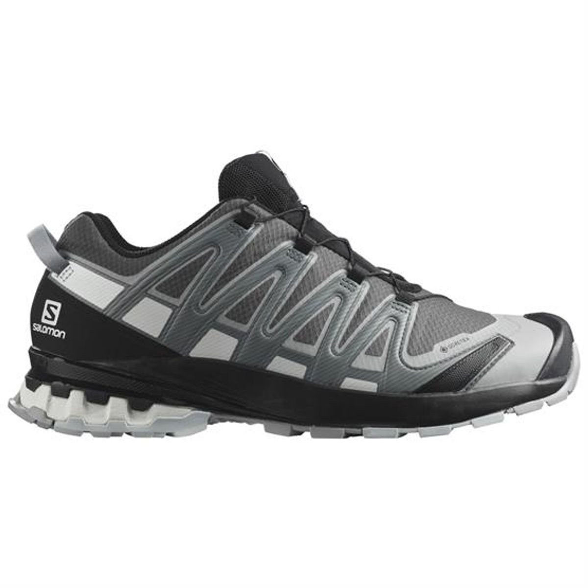 Salomon XA Pro 3D v8 GTX Mens, Magnet / Stormy Weather