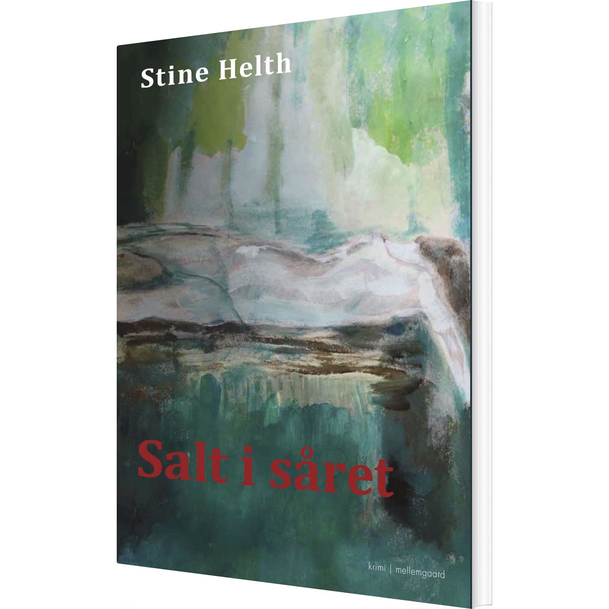 Salt I Såret - Stine Helth - Bog