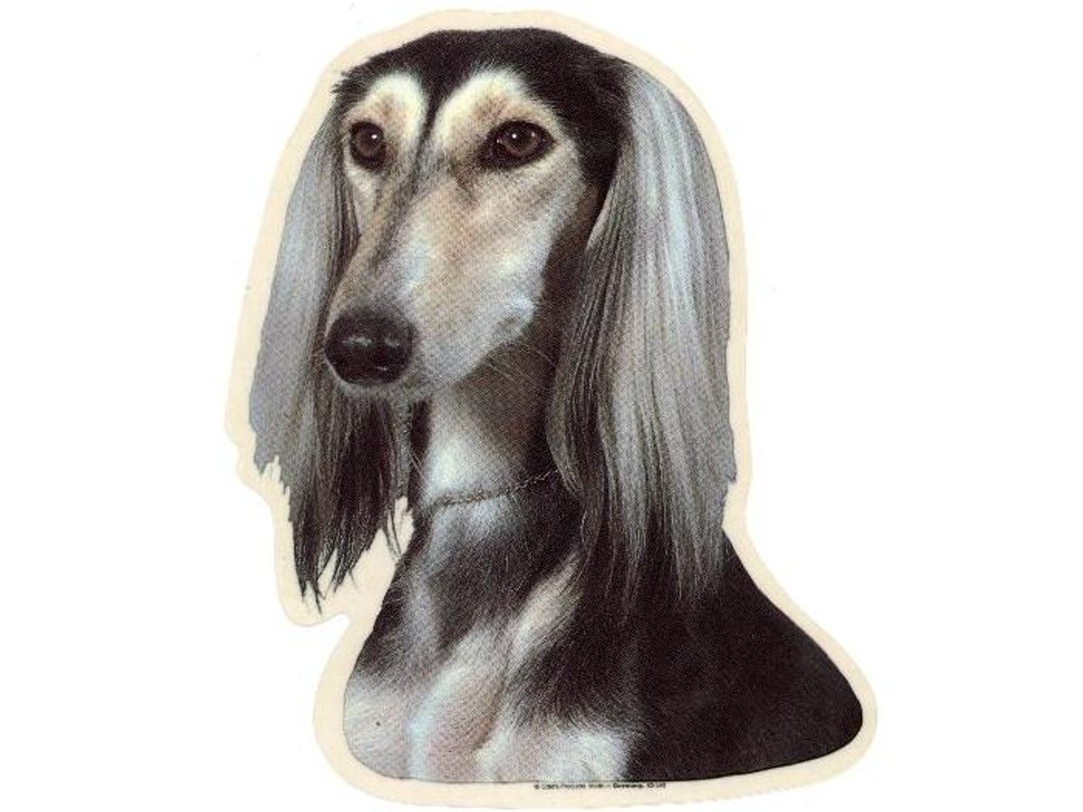 Saluki. Vælg: klistermærke, nøglering, broche, slipsenål, mm